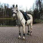 Анастасия Б.